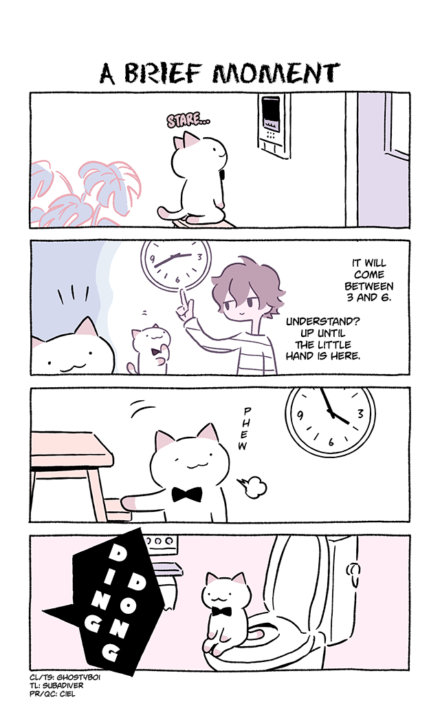 Wonder Cat Kyuu-chan Chapter 780 1